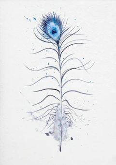Image of a feather watercolor painting by Shayna Larsen, originals & prints available