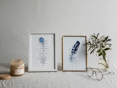 Image of a feather watercolor painting by Shayna Larsen, originals & prints available