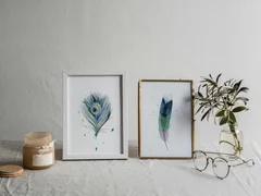 Image of a feather watercolor painting by Shayna Larsen, originals & prints available