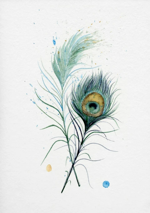 Image of a feather watercolor painting by Shayna Larsen, originals & prints available