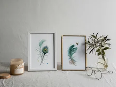 Image of a feather watercolor painting by Shayna Larsen, originals & prints available