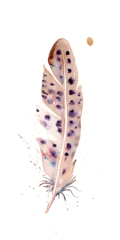 Image of a feather watercolor painting by Shayna Larsen, originals & prints available