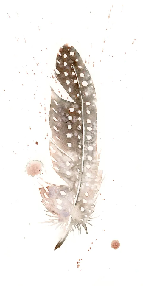 Image of a feather watercolor painting by Shayna Larsen, originals & prints available
