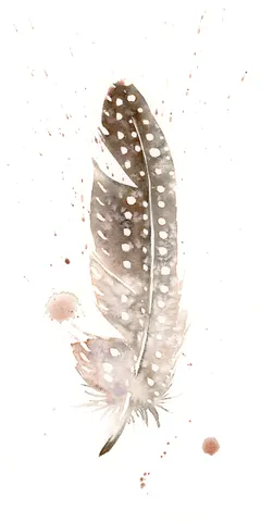 Image of a feather watercolor painting by Shayna Larsen, originals & prints available
