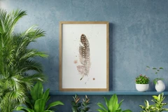 Image of a feather watercolor painting by Shayna Larsen, originals & prints available