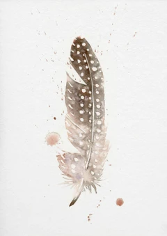 Image of a feather watercolor painting by Shayna Larsen, originals & prints available