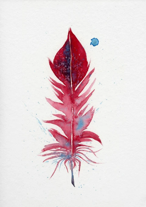 Image of a feather watercolor painting by Shayna Larsen, originals & prints available