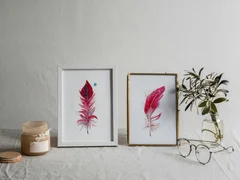 Image of a feather watercolor painting by Shayna Larsen, originals & prints available