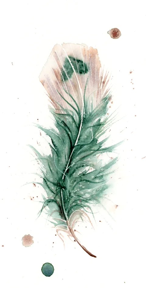 Image of a feather watercolor painting by Shayna Larsen, originals & prints available