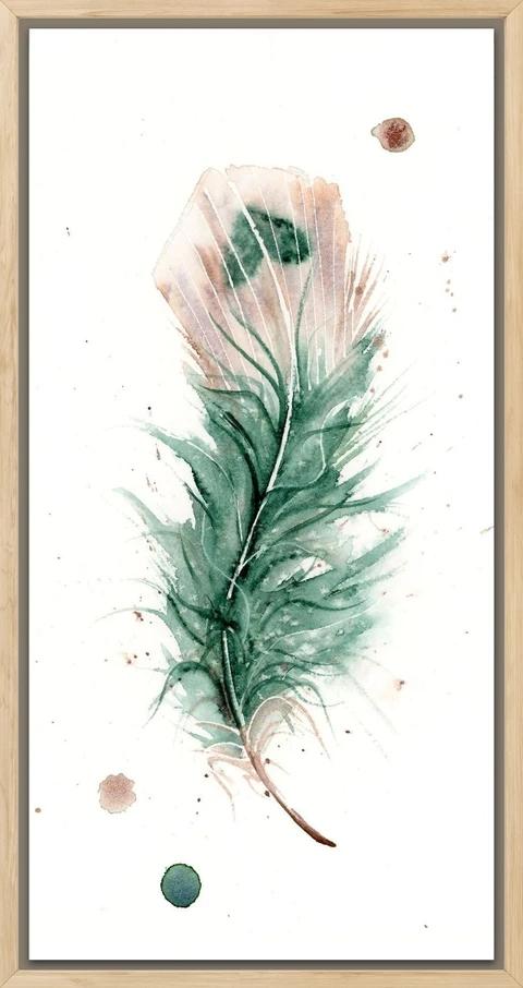 Image of a feather watercolor painting by Shayna Larsen, originals & prints available