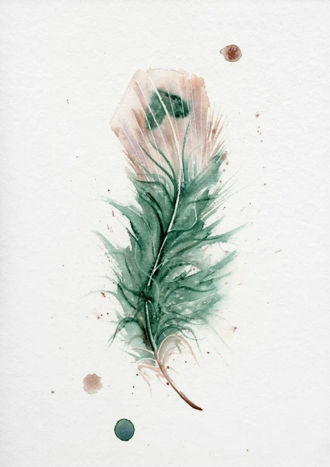 Image of a feather watercolor painting by Shayna Larsen, originals & prints available