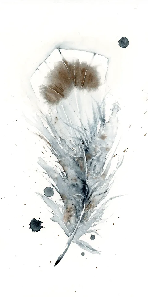 Image of a feather watercolor painting by Shayna Larsen, originals & prints available