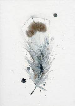 Image of a feather watercolor painting by Shayna Larsen, originals & prints available