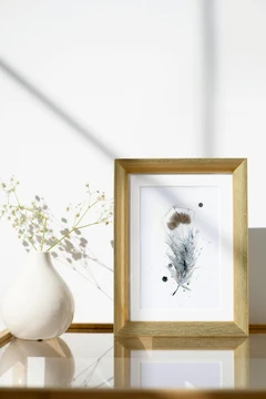 Image of a feather watercolor painting by Shayna Larsen, originals & prints available
