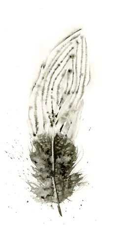 Image of a feather watercolor painting by Shayna Larsen, originals & prints available