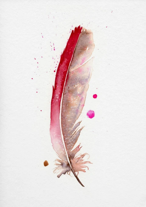 Image of a feather watercolor painting by Shayna Larsen, originals & prints available