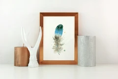Image of a feather watercolor painting by Shayna Larsen, originals & prints available
