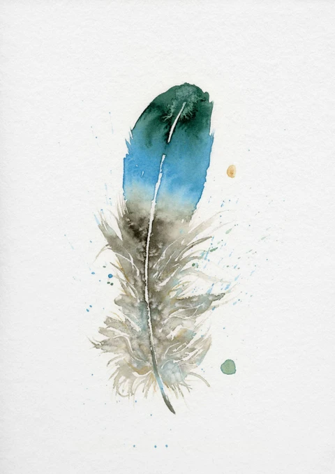 Image of a feather watercolor painting by Shayna Larsen, originals & prints available