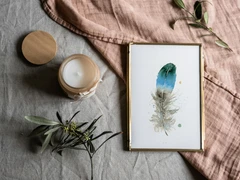 Image of a feather watercolor painting by Shayna Larsen, originals & prints available