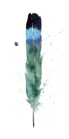 Image of a feather watercolor painting by Shayna Larsen, originals & prints available