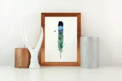Image of a feather watercolor painting by Shayna Larsen, originals & prints available