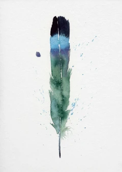 Image of a feather watercolor painting by Shayna Larsen, originals & prints available