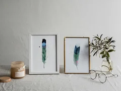 Image of a feather watercolor painting by Shayna Larsen, originals & prints available
