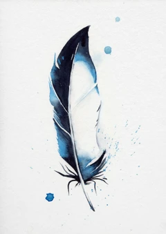 Image of a feather watercolor painting by Shayna Larsen, originals & prints available