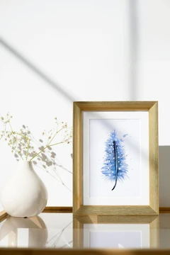 Image of a feather watercolor painting by Shayna Larsen, originals & prints available