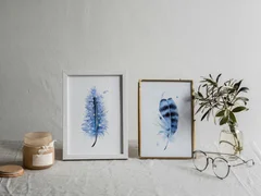 Image of a feather watercolor painting by Shayna Larsen, originals & prints available