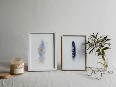 Image of a feather watercolor painting by Shayna Larsen, originals & prints available
