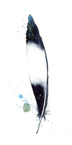 Image of a feather watercolor painting by Shayna Larsen, originals & prints available