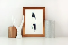 Image of a feather watercolor painting by Shayna Larsen, originals & prints available