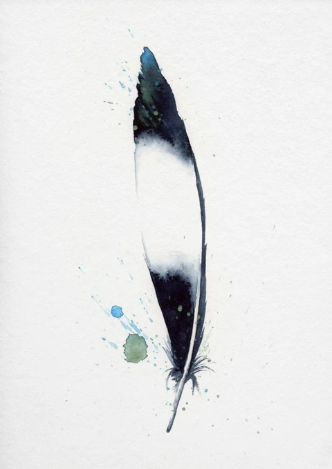 Image of a feather watercolor painting by Shayna Larsen, originals & prints available