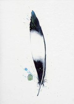 Image of a feather watercolor painting by Shayna Larsen, originals & prints available