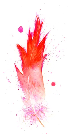 Image of a feather watercolor painting by Shayna Larsen, originals & prints available