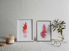 Image of a feather watercolor painting by Shayna Larsen, originals & prints available