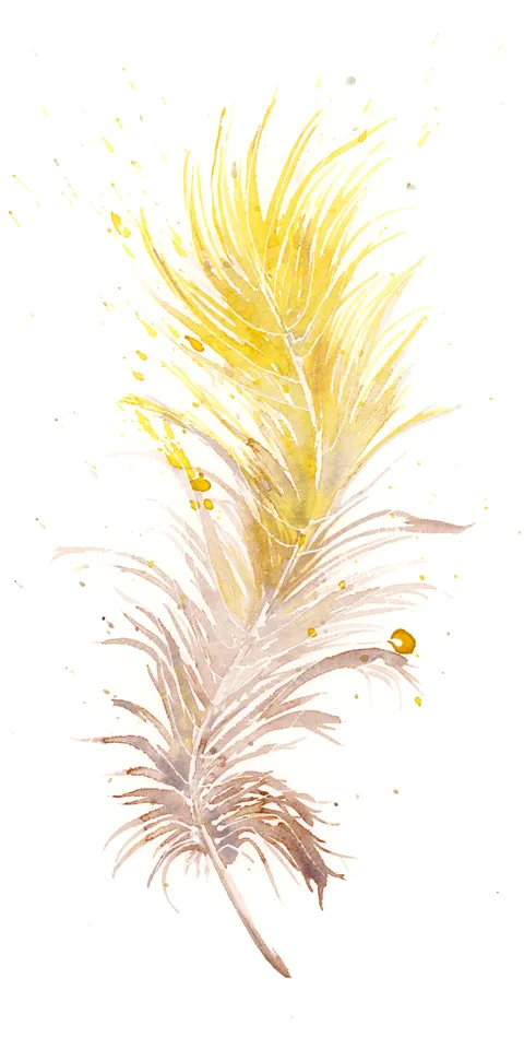 Image of a feather watercolor painting by Shayna Larsen, originals & prints available