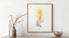 Image of a feather watercolor painting by Shayna Larsen, originals & prints available