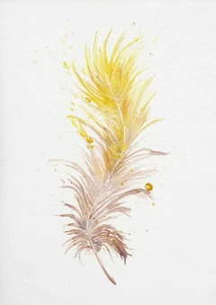 Image of a feather watercolor painting by Shayna Larsen, originals & prints available