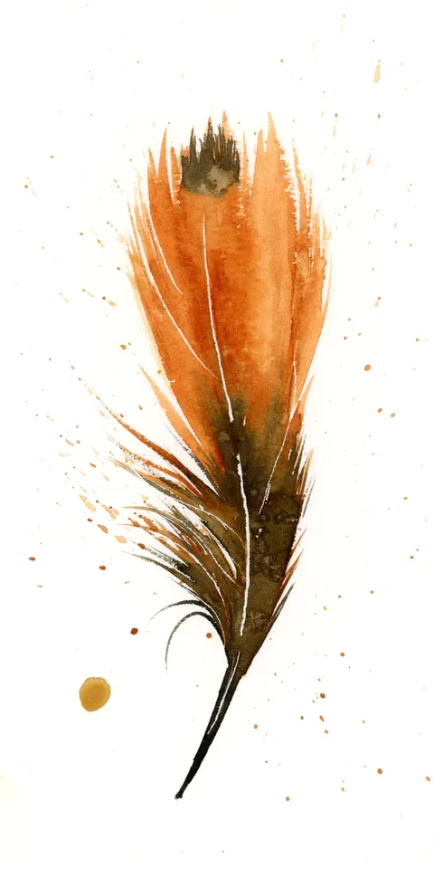 Image of a feather watercolor painting by Shayna Larsen, originals & prints available