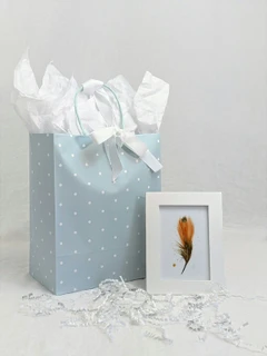 Image of a feather watercolor painting by Shayna Larsen, originals & prints available