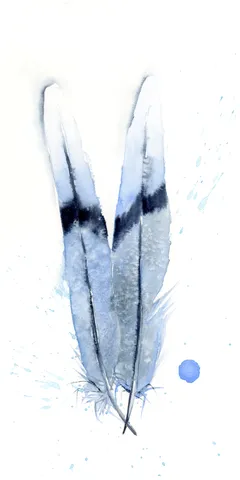 Image of a feather watercolor painting by Shayna Larsen, originals & prints available