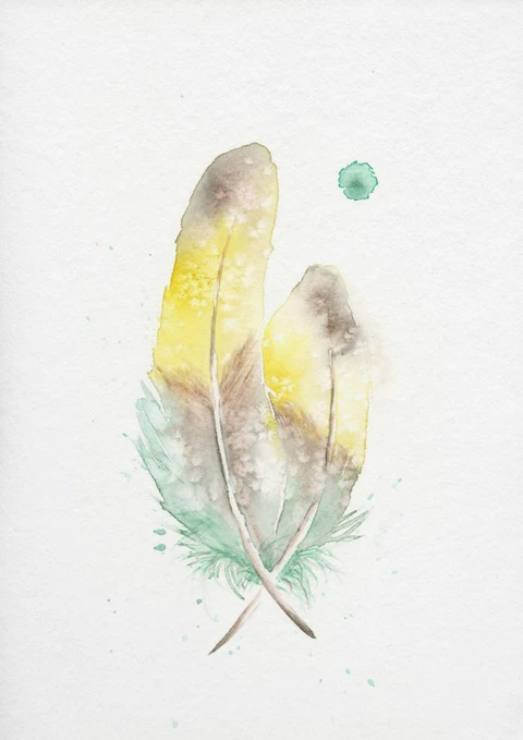 Image of a feather watercolor painting by Shayna Larsen, originals & prints available