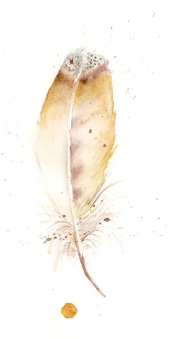 Image of a feather watercolor painting by Shayna Larsen, originals & prints available