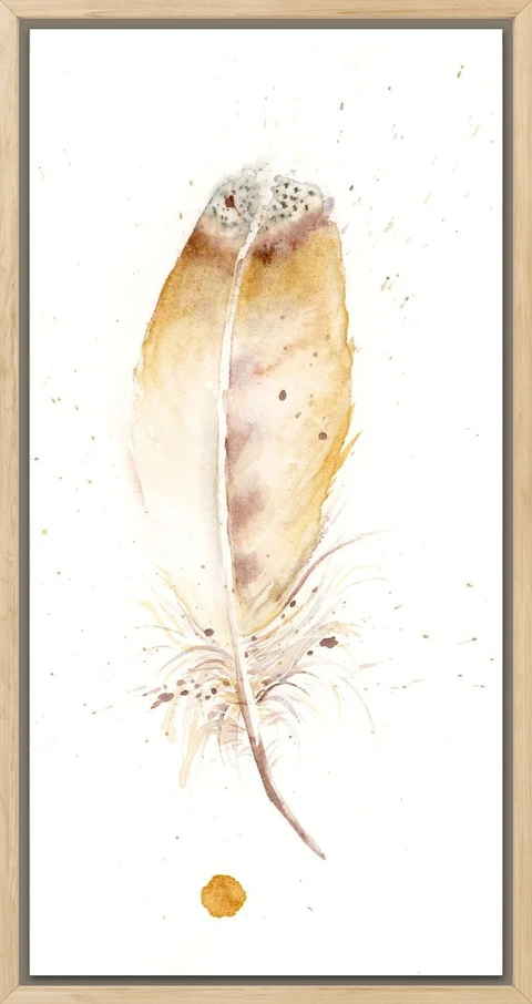 Image of a feather watercolor painting by Shayna Larsen, originals & prints available