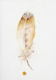 Image of a feather watercolor painting by Shayna Larsen, originals & prints available