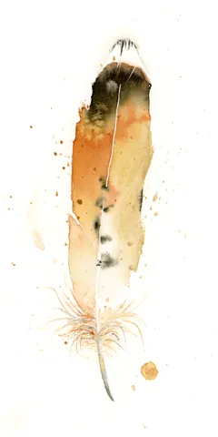 Image of a feather watercolor painting by Shayna Larsen, originals & prints available
