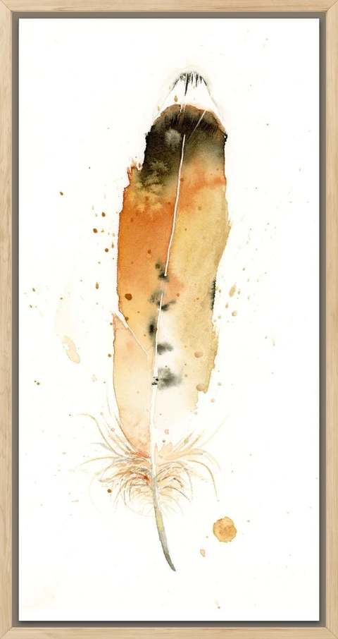 Image of a feather watercolor painting by Shayna Larsen, originals & prints available