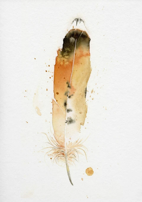 Image of a feather watercolor painting by Shayna Larsen, originals & prints available